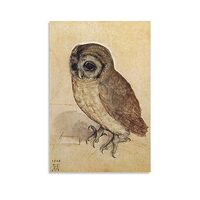 Albrecht Durer Painting Poster,The Little Owl Canvas Wall Art Posters,Impressionist Style Bird Pictu