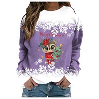 My Orders,Holiday Sweaters for Women Classic Long Sleeve Round Neck Owls 3D Stripes Printed T-Shirt 