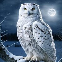 Framable 1000 Piece Classic Jigsaw Puzzle - White Owl Luxurious Wood Rounded Corner Puzzle - Beautif