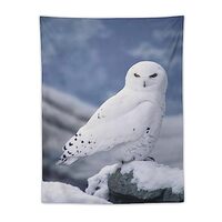 Animal White Owl Aesthetics Tapestry Wall Tapestry Wall Hanging Decor Wall Art for Bedroom Living Ro