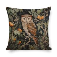 MaSiledy Couch Throw Pillows Wonderland Barn Owl Pillow Case 18"x18" Gifts for Owl Lovers 