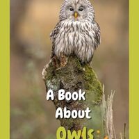 A Book About Owls For Kids: Beautiful photos, interesting facts and a fun quiz! (AMAZING EARTH: Wild