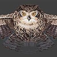 HobbyJobby Cross Stitch Kit The Owl, Counted Cross Stitch Kit for Adults, Needlecraft and Embroidery