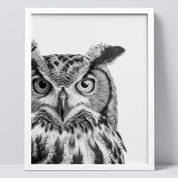 SIGNWIN Framed Black and White Owl Photography Modern Art Farmhouse/Country Minimalism Multicolor Na