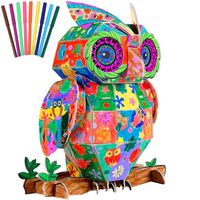 Qyeahkj 3D Coloring Puzzles for Kids Creative Owl Crafts Arts Set for Kids Ages 8-12 DIY Painting Pu