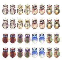 Spritewelry 32cps Owl Enamel Charms Halloween Owl Enamel Charms Colorful Animal Charms Pendants for 