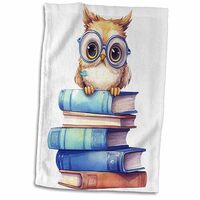 3dRose Cute Owl in Glasses Standing On A Stack of Books Illustration - Towels (twl-383662-1)