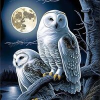 Puzzles for Adults 500 Pieces, Moonlight Owl Wooden Puzzle - Large Educational Puzzle Artwork for Ad