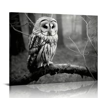 PIKWEEK Black and White Owl Canvas Wall Decor Bird Artwork, Wild Animal Owls on Branch Forest Night 