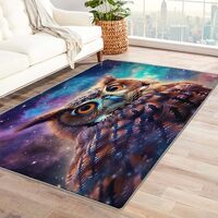 Owl Rugs for Kitchen - 4x5 Rug - Owl Rug - Galaxy Outer Space Area Rug - Wisdom Bird Rugs - Cute Ani