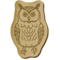6 x 'Cute Owl' MDF Craft Embellishments (EB00030063)