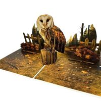PQDGlobal 3D Owl Pop-Up Card – Handmade Bird-Themed Paper Art for Birthday, Anniversary, Chris
