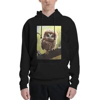 LKWSCGHM Men's Fleece Hoodie Sweatshirts Fall Pullover Hoodies Casual Sweaters Real Cute Owls W