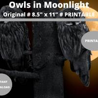Owls in Moonlight : Wall Art Prints | Printable Owl Picture, Owl Images, Owl Photos