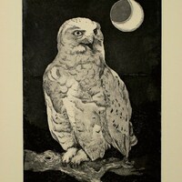 Original etching of  an Snowy Owl