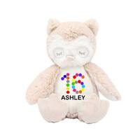 Personalised 16th Birthday Owl, Happy Birthday Teddy Bear, 16th Birthday Gift, Personalised 16th gir
