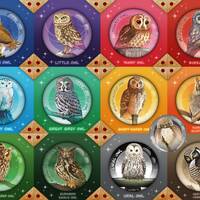 Owls BADGES Collection