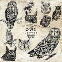 Owl svg, Owl face, Owl silhouette, Owl head svg, Forest Owl svg, Stencil, Cut file, Cuttable, Vector
