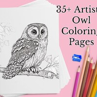 Owl Coloring Pintables,  35+ Artistic Owl Coloring Book Adults and Kids 10+
