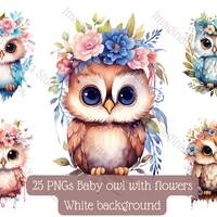 Baby Owl Clipart PNG Superb Owl Boho Flower Bird Wall Art Cute Owl Nursery Decor Owl Babyshower Wood