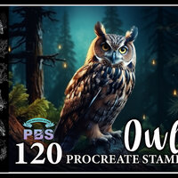 120 Procreate Owl Stamps, Owl brush for procreate, Owl procreate stamp, Procreate Stamp Owl
