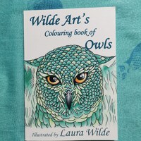 Owl colouring book