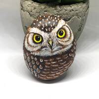 Burrowing Owl painted rock, Owl painted stone gifts, Unique owl gifts,Bird painted stones, Owl lover