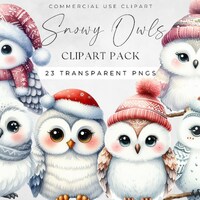 Watercolor Clipart Bundle Christmas Owl, Christmas Owl Image, Digital Paper Craft, Commercial Use Di