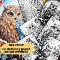 36 Owl winter Coloring pages for adults , digital download, printable