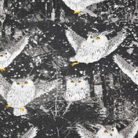 Midnight Owls Fabric - Forest - Trees - Night Creatures - Birds of Prey - Black Background - 100% Li