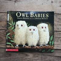 Owl Babies, Children's Paperback Book by Martin Waddell and Patrick Benson