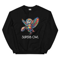Superb Owl Colorful Unisex Sweatshirt. This rainbow owl is superb and clearly ready for a big game d