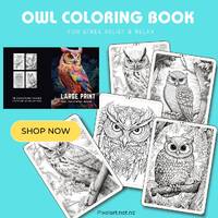 Owl Coloring Book: Relaxation and Stress Relief for Bird Lovers
