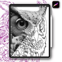 12x Procreate owl bird tattoo stamps brush set for tattoo designs coloring pages and stencil for tat