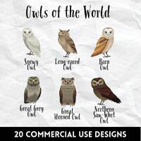 20 Owl Shirt Designs, Owl Tee Design Idea, Adorable Owl SVG Bundle for Crafting Cricut & Commerc