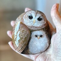 Owl Rock (mamma and baby) - hand painted