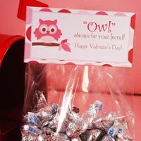Owl Valentine, Printable Valentine,  Owl Bag Topper, Valentine's Day,  INSTANT DOWNLOAD