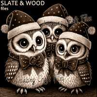 Owls Santa PNG, Owl 3D Illusion Laser FilesChristmas Digital Files For Laser Engraving, 3D Illusion