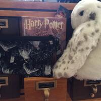 Hedwig/Harry Potter Wristlet Purse