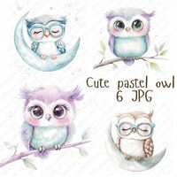 6 Watercolor Pastel Owl Clipart, Cute Owls in Soft Colors for Scrapbooking, Stickers, and Paper Craf