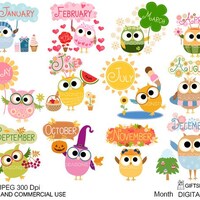 Month owls digital clip art for Personal and Commercial use - INSTANT DOWNLOAD