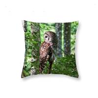 Owl Decor, Owl Pillow, Barred Owl, Owl Cushion, Owl Gifts, Raptor Pillow, Woodland Decor