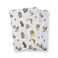 Owls and chick  recycled and recyclable gift wrapping, 2 sheets and 2 tags