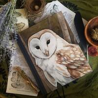 Barn Owl Journal / Notebook / Sketchbook- Animal Watercolor Art
