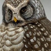 Northern Hawk Owl Carving
