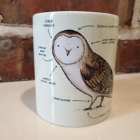 Anatomy of a Barn Owl Mug