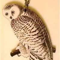 Snowy Owl Woodcut Necklace or Brooch