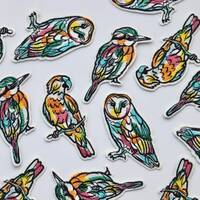 Paint Splash Line Drawing Iron on Patches - Bird Appliqué - Kookaburra, Owl, Parrot - Embroid