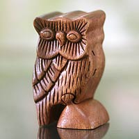 The Owl's Secret, Owl Theme Wood Puzzle Box