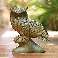 Focused Owl, Hand-Carved Hibiscus Wood Sculpture of a Focused Owl
